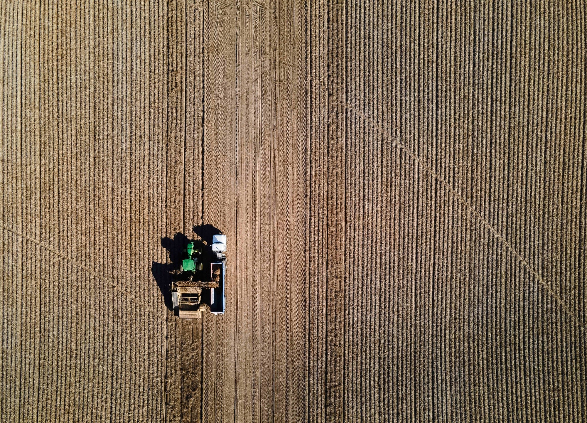 Kitchen Kleen Potatoes